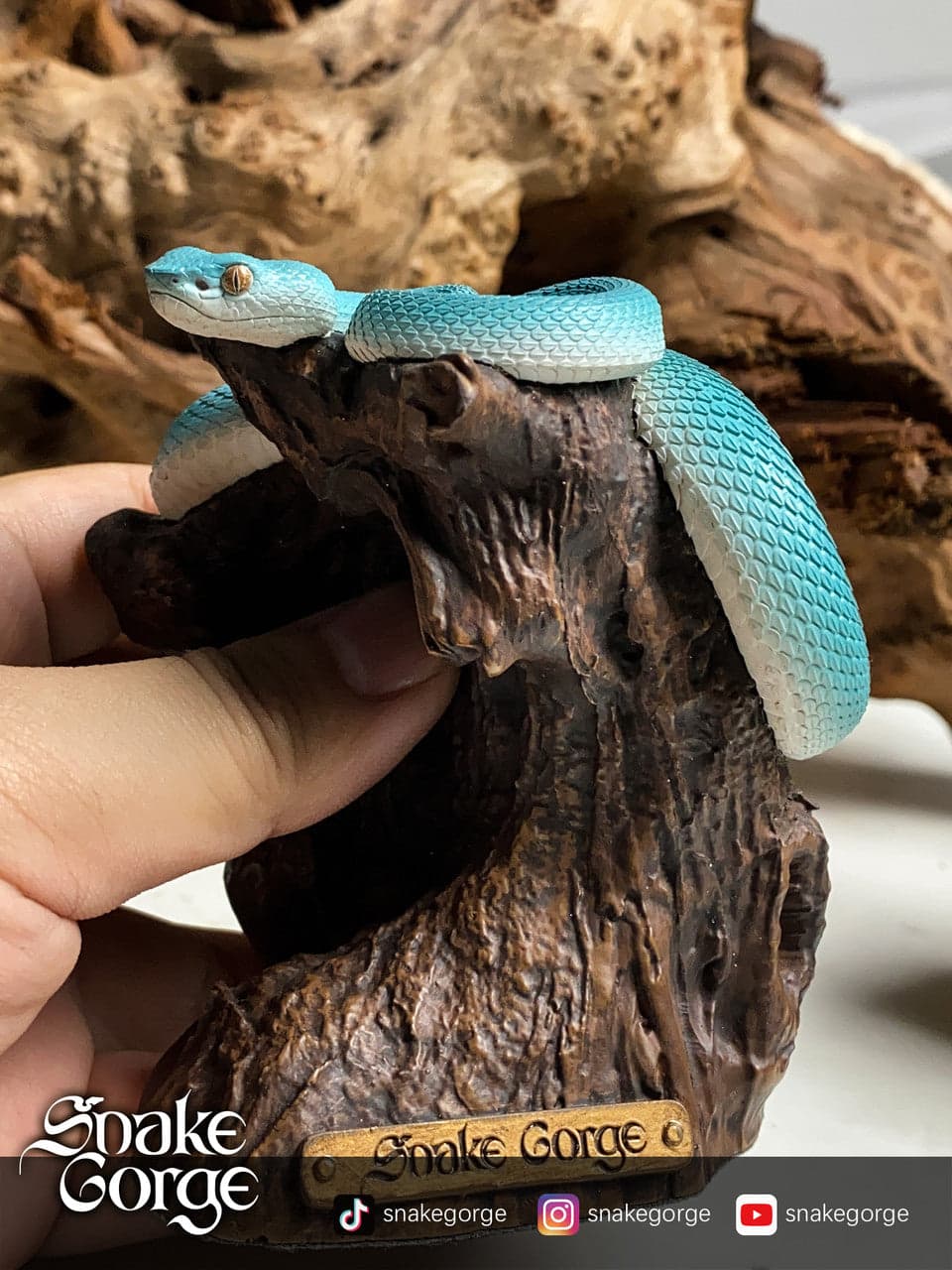 Snake Gorge - Trimeresurus - Thumbnail 4