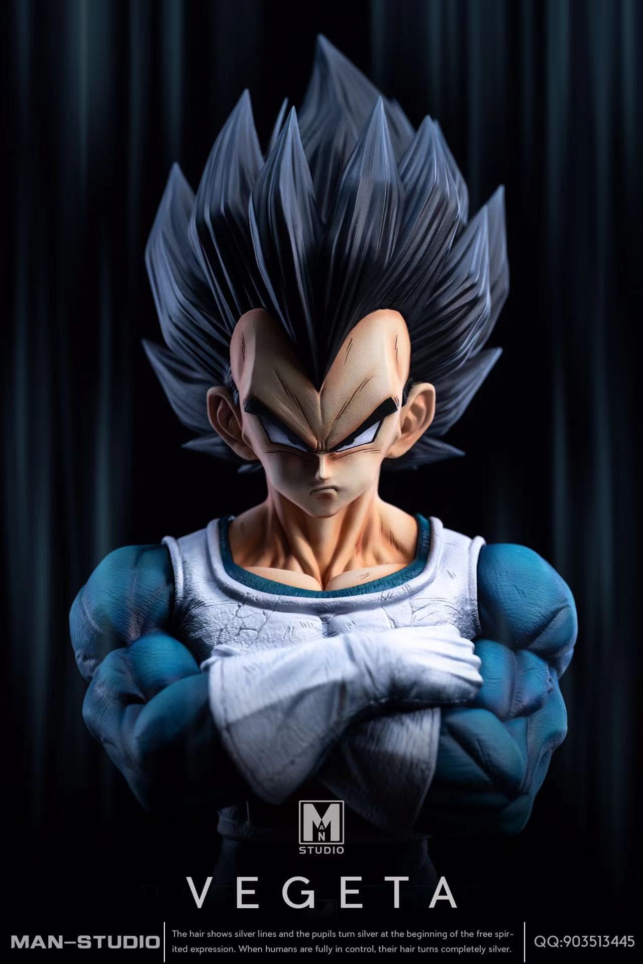 MAN - Vegeta - Thumbnail 2