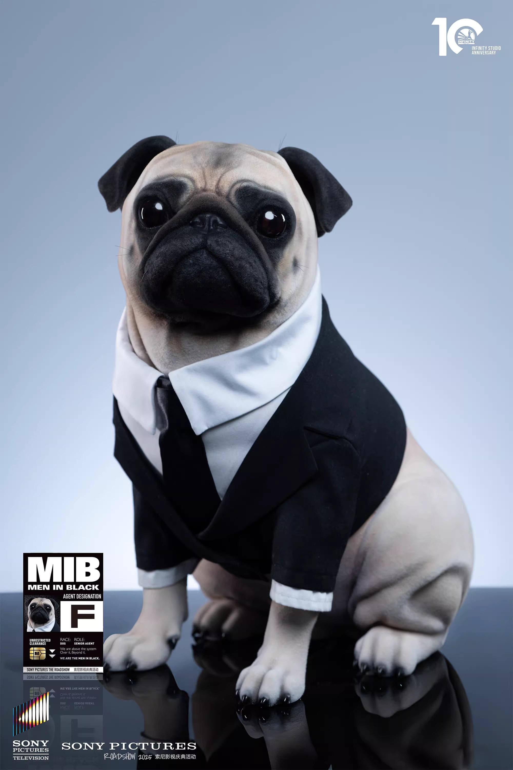 Infinity - Frank the Pug - Thumbnail 5