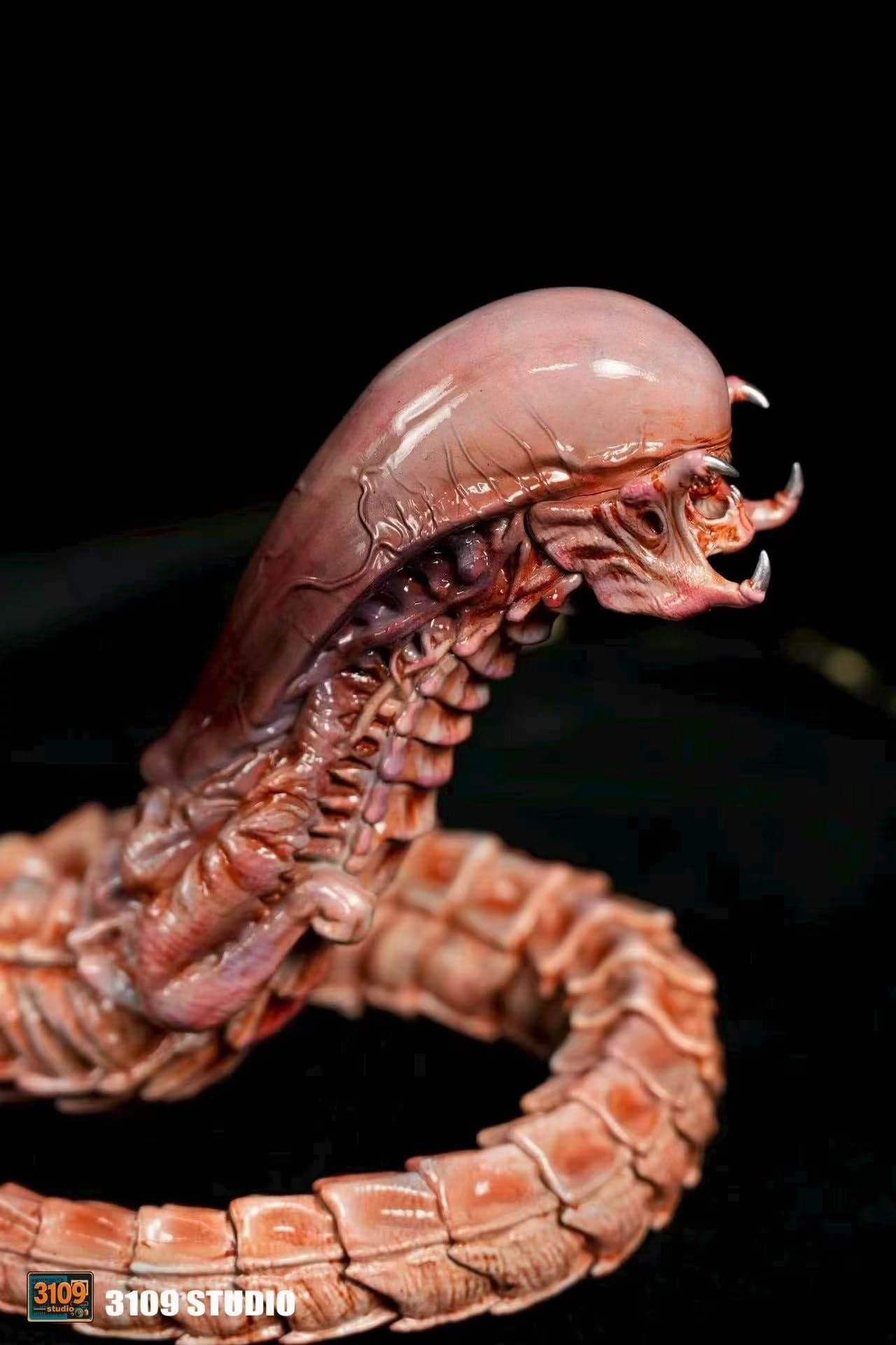 3109 - Chestburster Alien - Thumbnail 4
