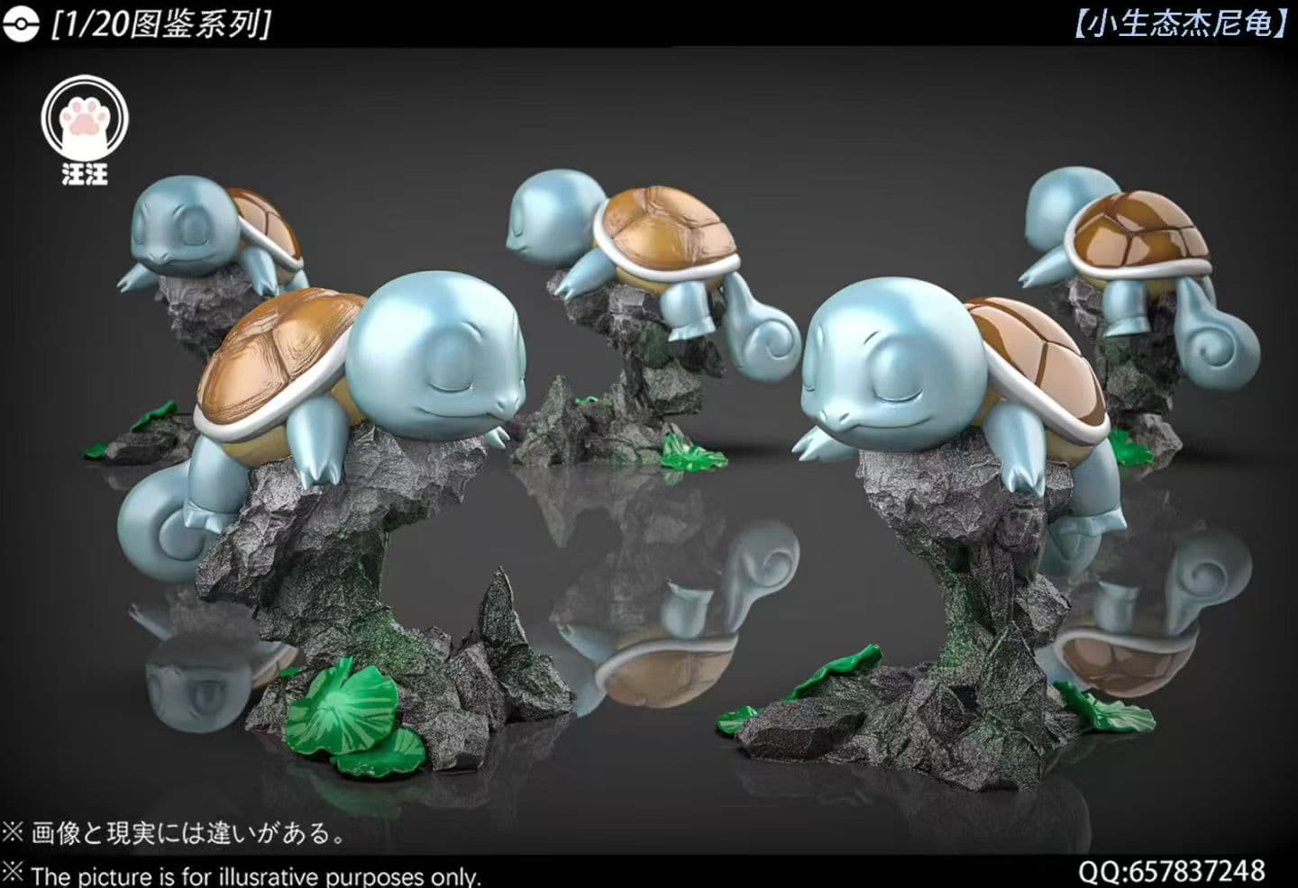 Wang Wang - Blastoise - Thumbnail 3