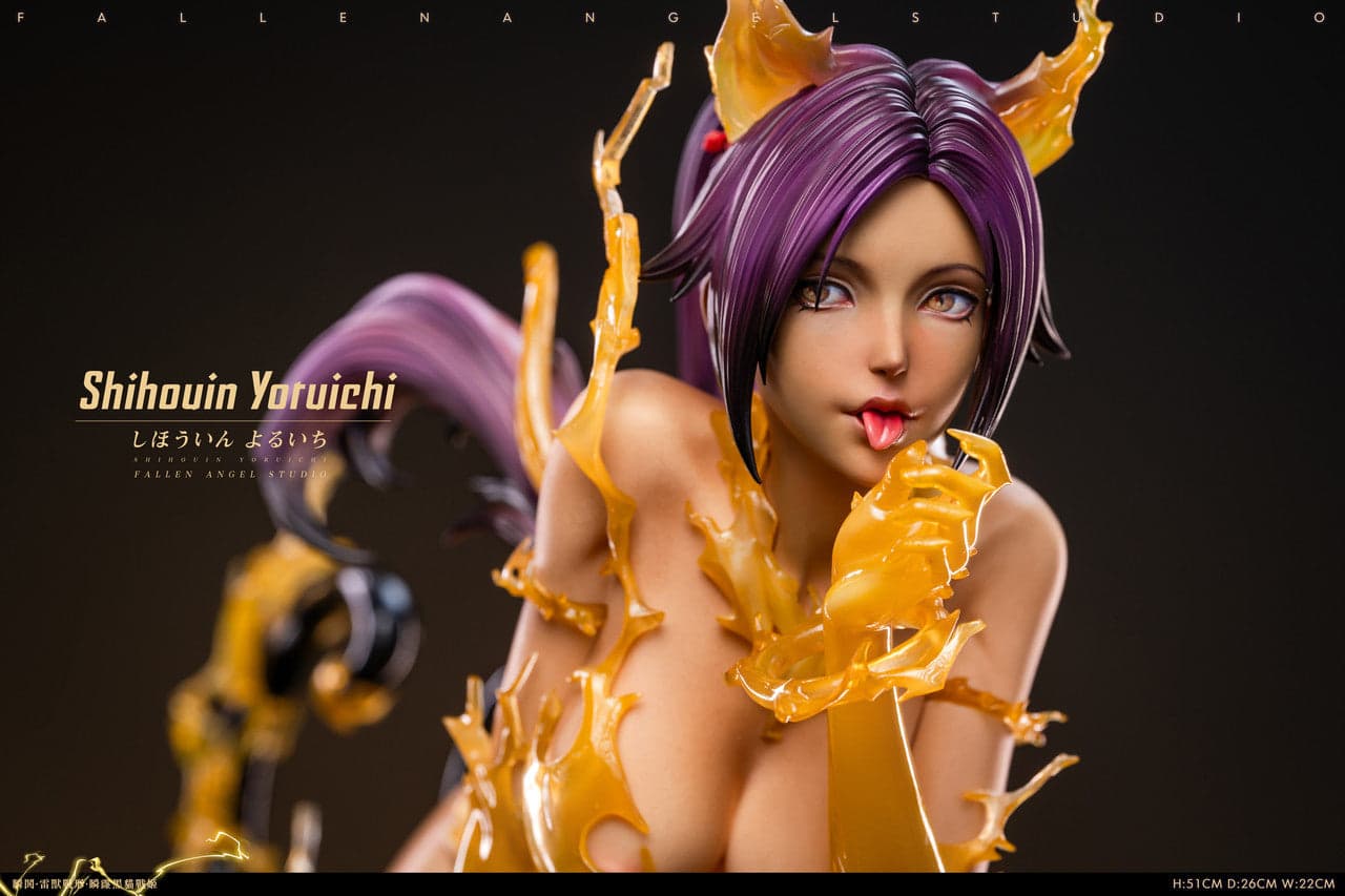 FA - Yoruichi - Thumbnail 12