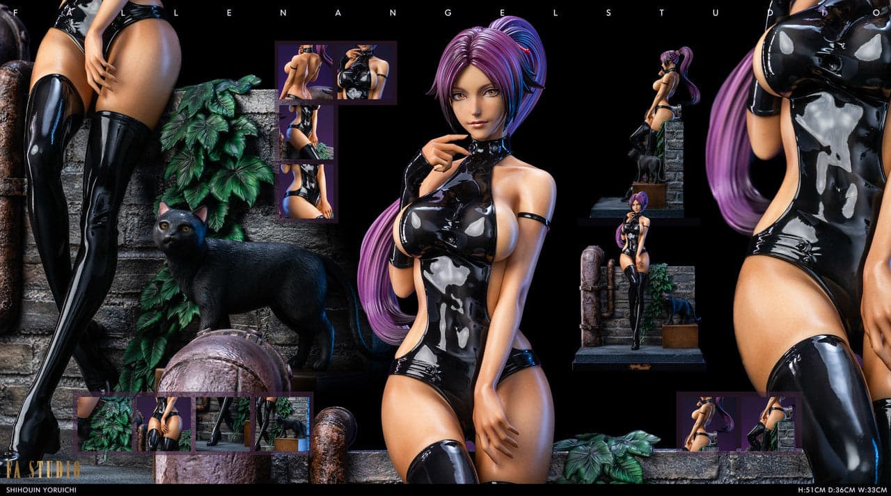 FA - Yoruichi - Thumbnail 13