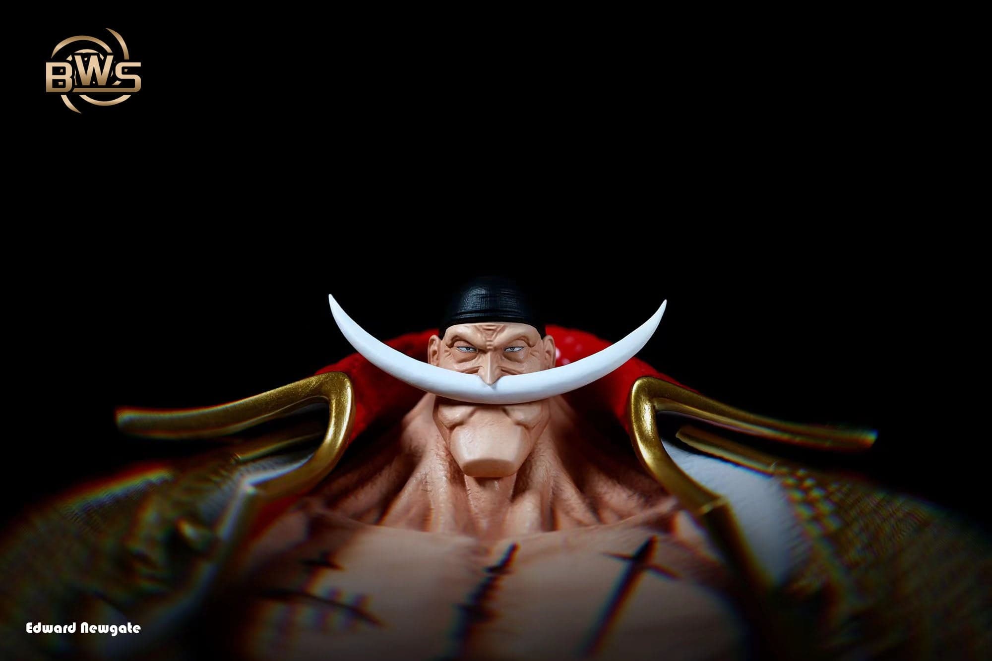 BWS - Whitebeard - Thumbnail 4