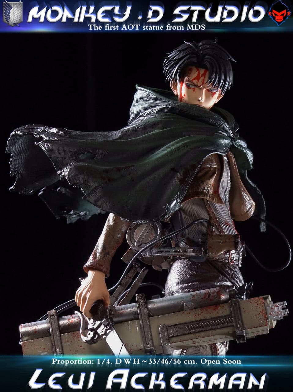 Monkey D - Levi - Thumbnail 5