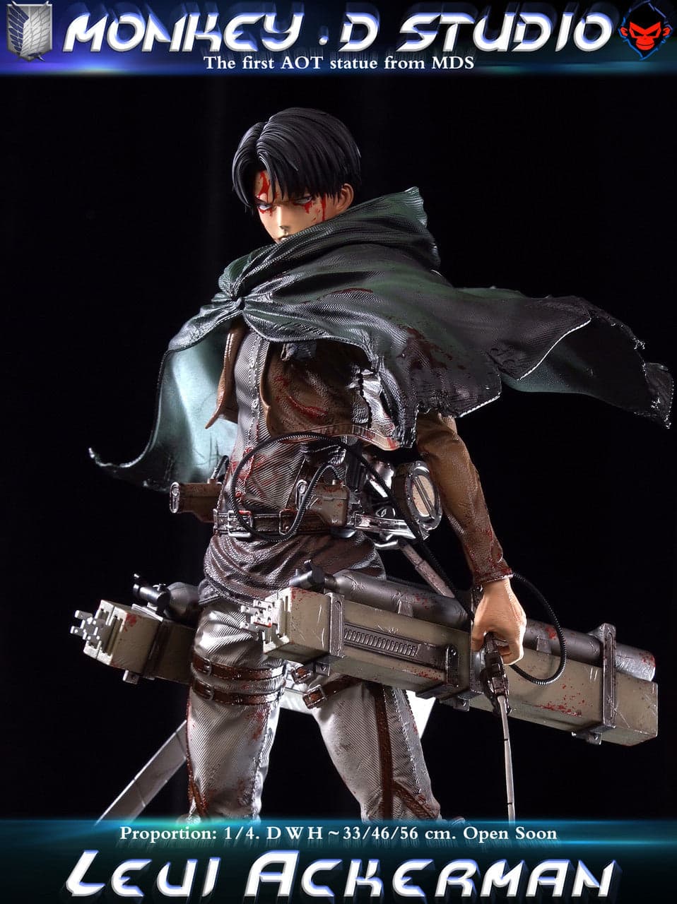 Monkey D - Levi - Thumbnail 9