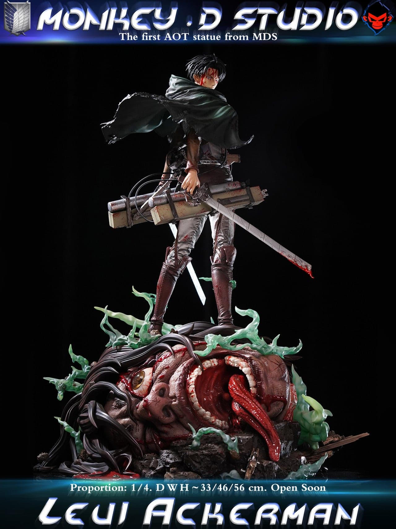 Monkey D - Levi - Thumbnail 3
