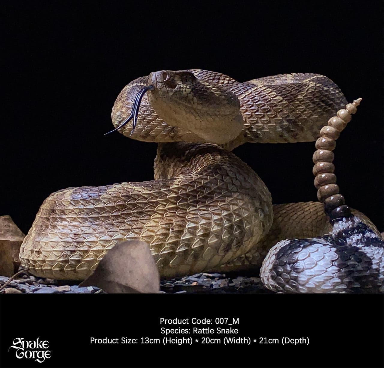 Snake Gorge - Crotalus atrox - Thumbnail 4