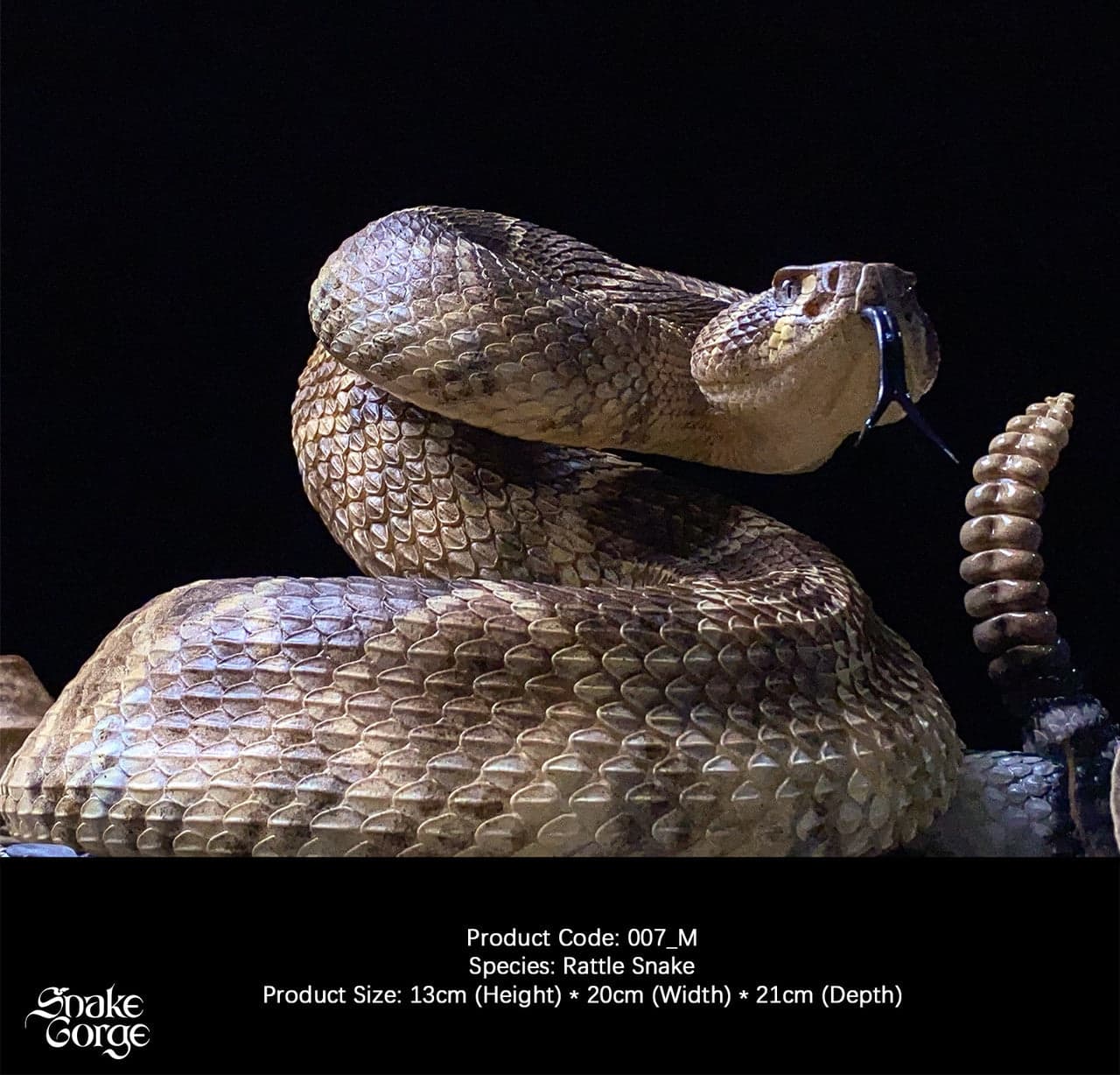 Snake Gorge - Crotalus atrox - Thumbnail 5