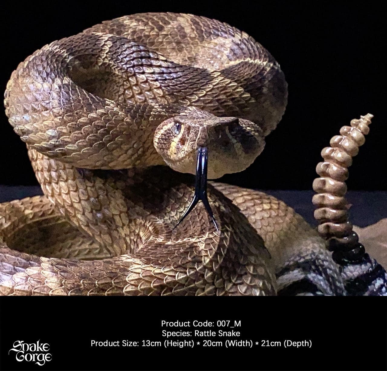 Snake Gorge - Crotalus atrox - Thumbnail 6