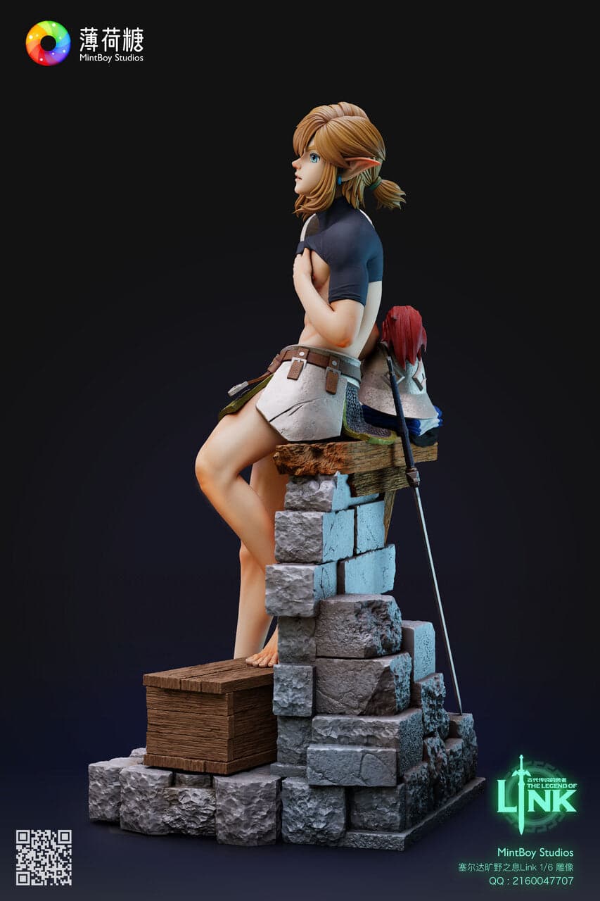 Mintboy - Link - Thumbnail 2