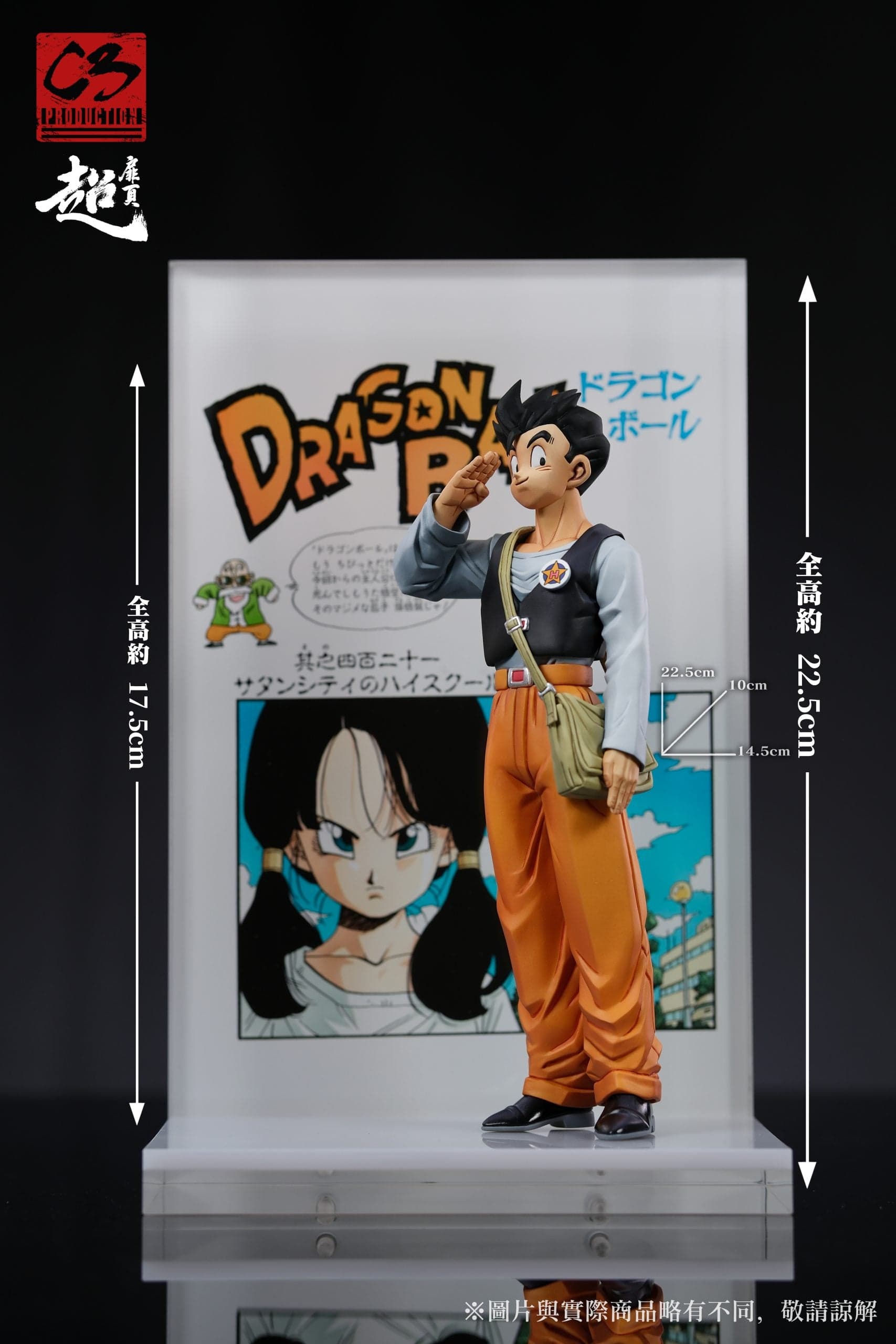 C3 - Gohan