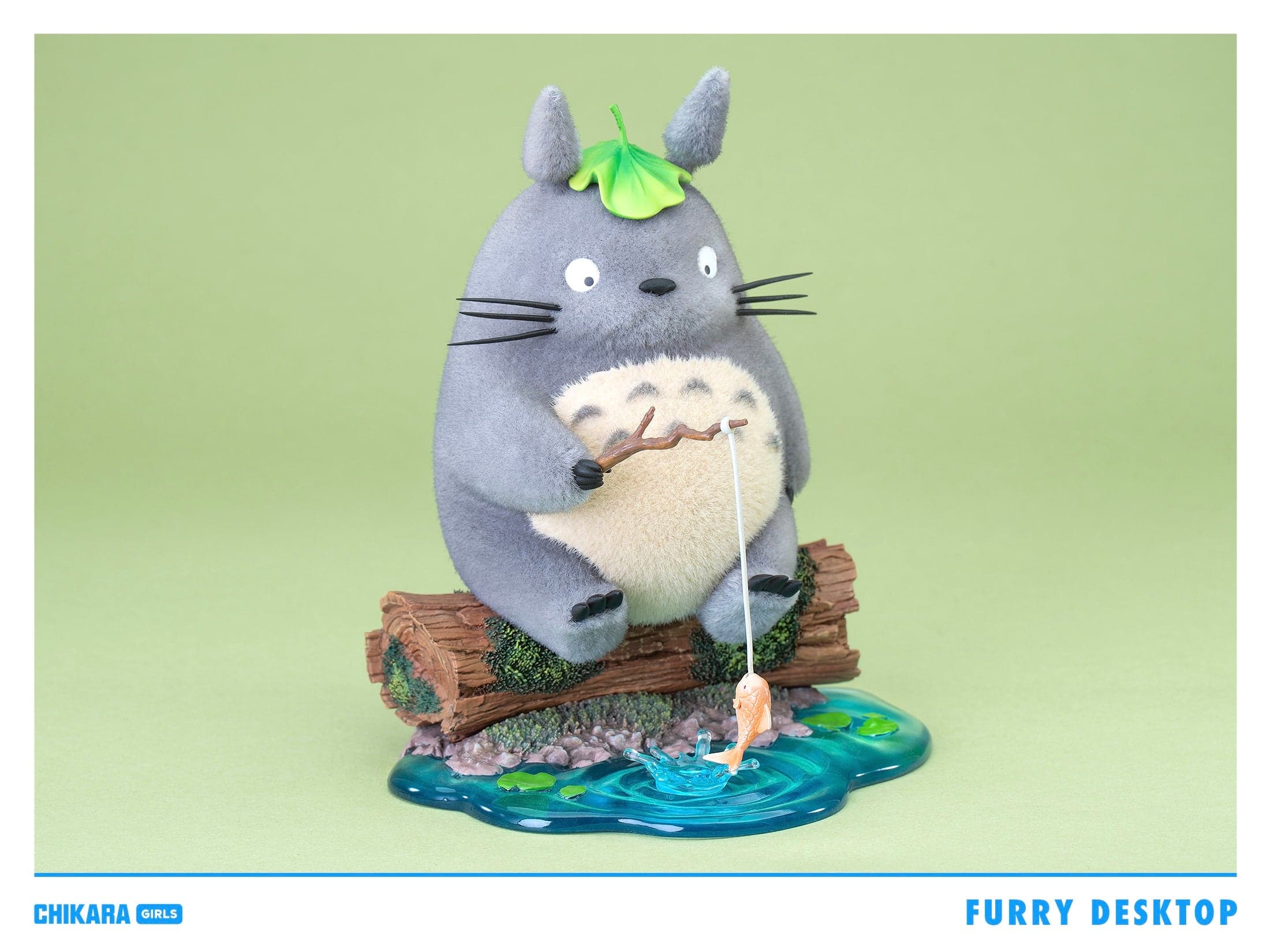 Chikara - Totoro - Thumbnail 3