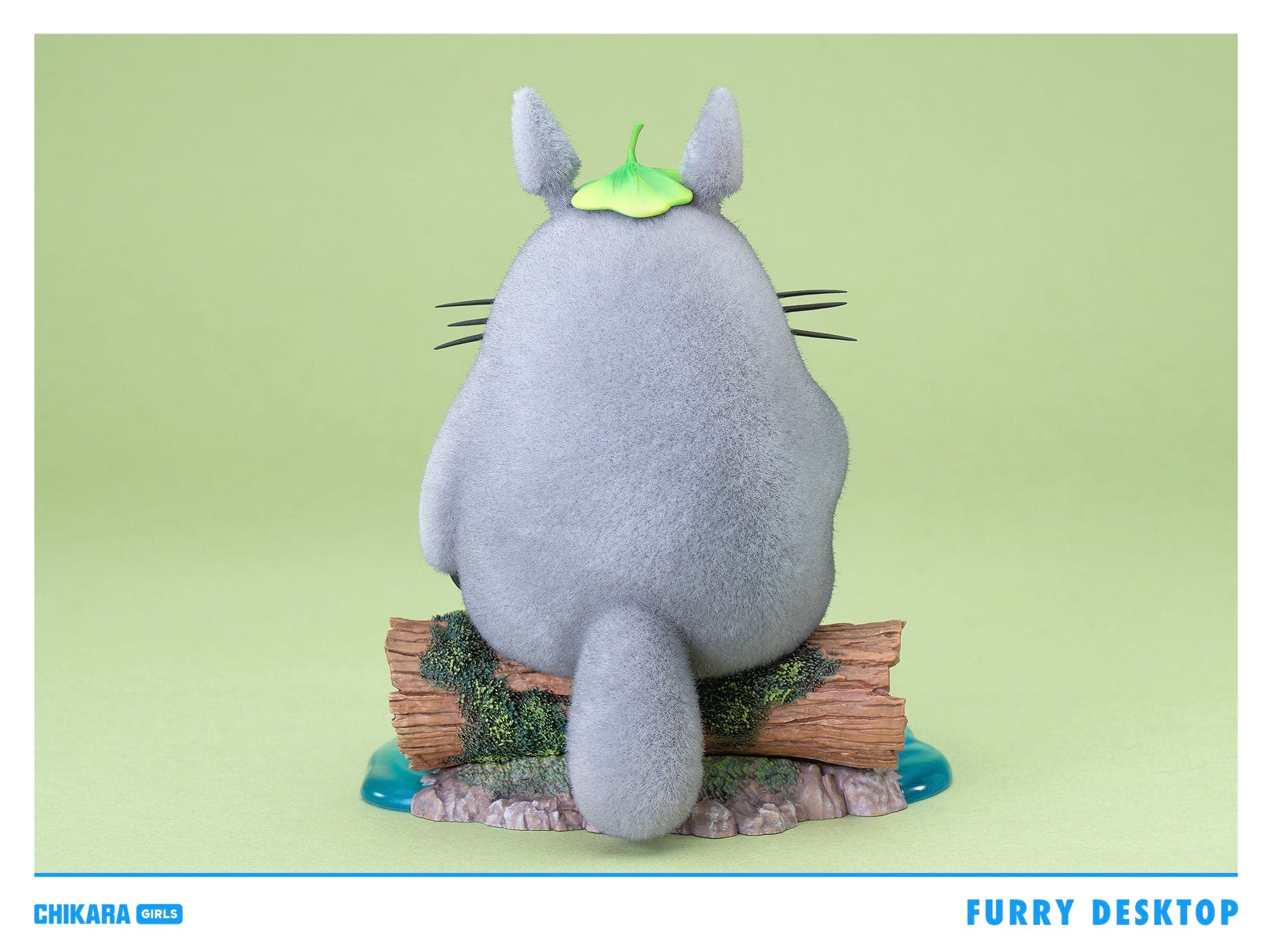 Chikara - Totoro - Thumbnail 6