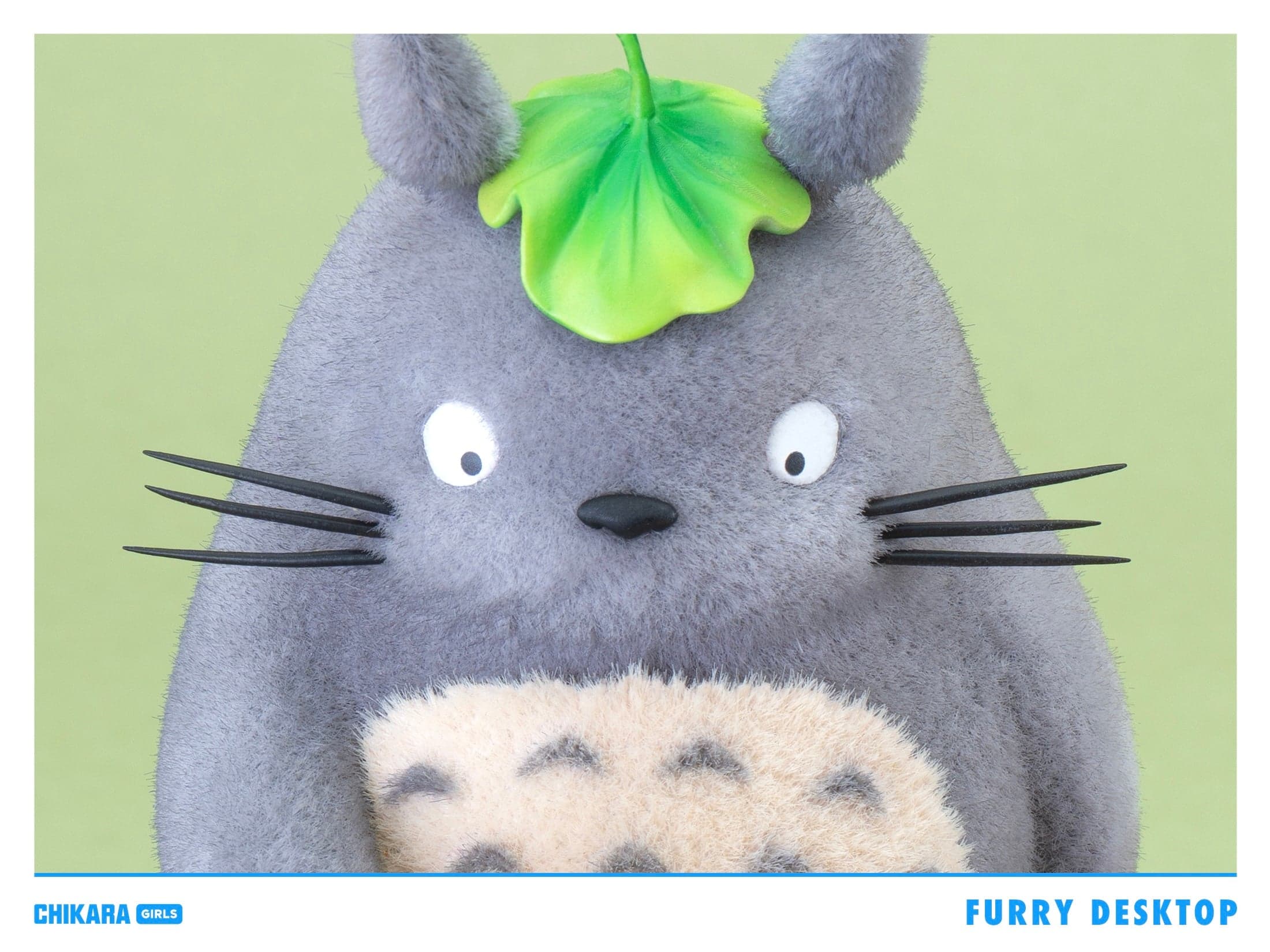 Chikara - Totoro - Thumbnail 2