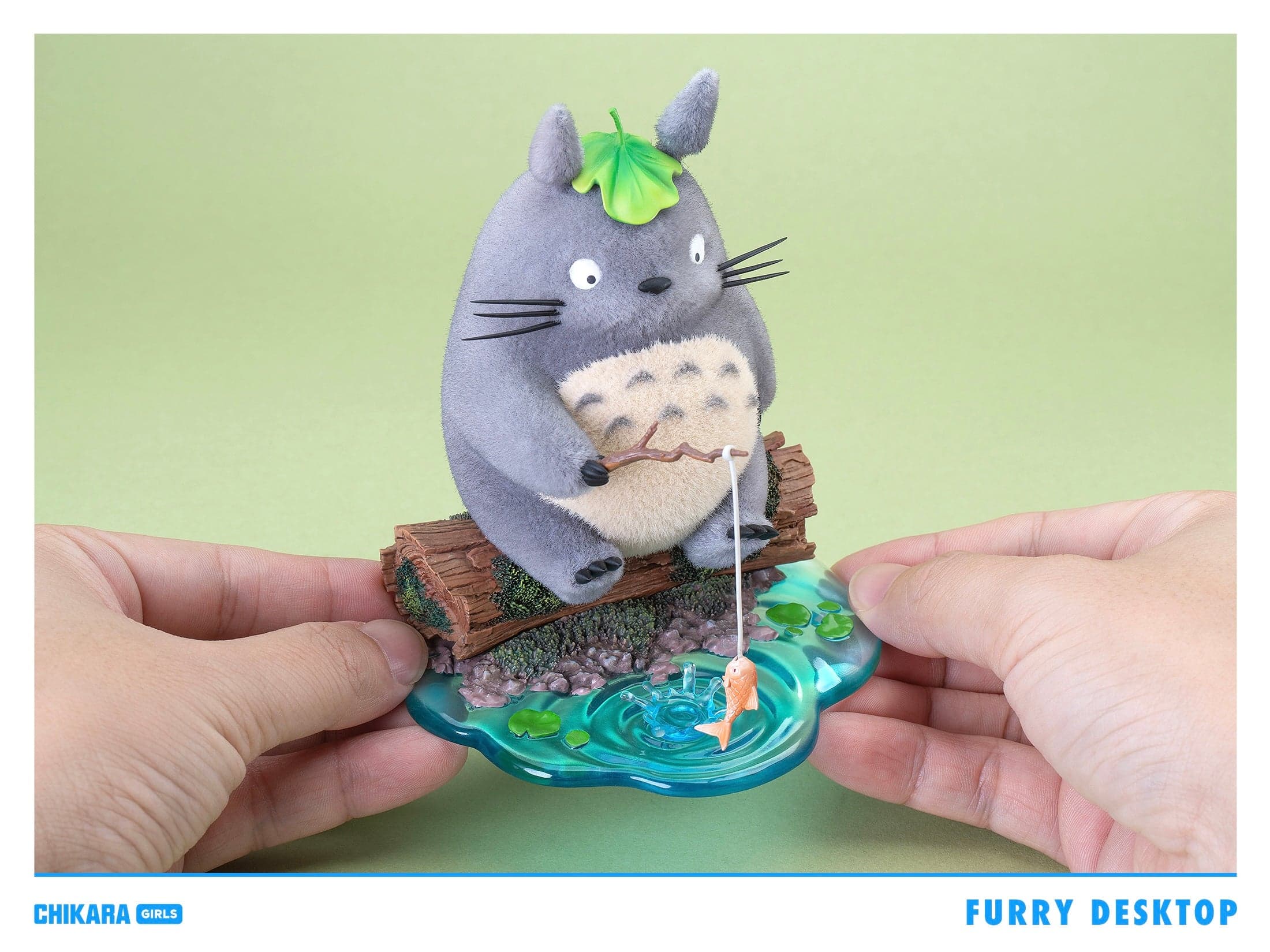 Chikara - Totoro - Thumbnail 7