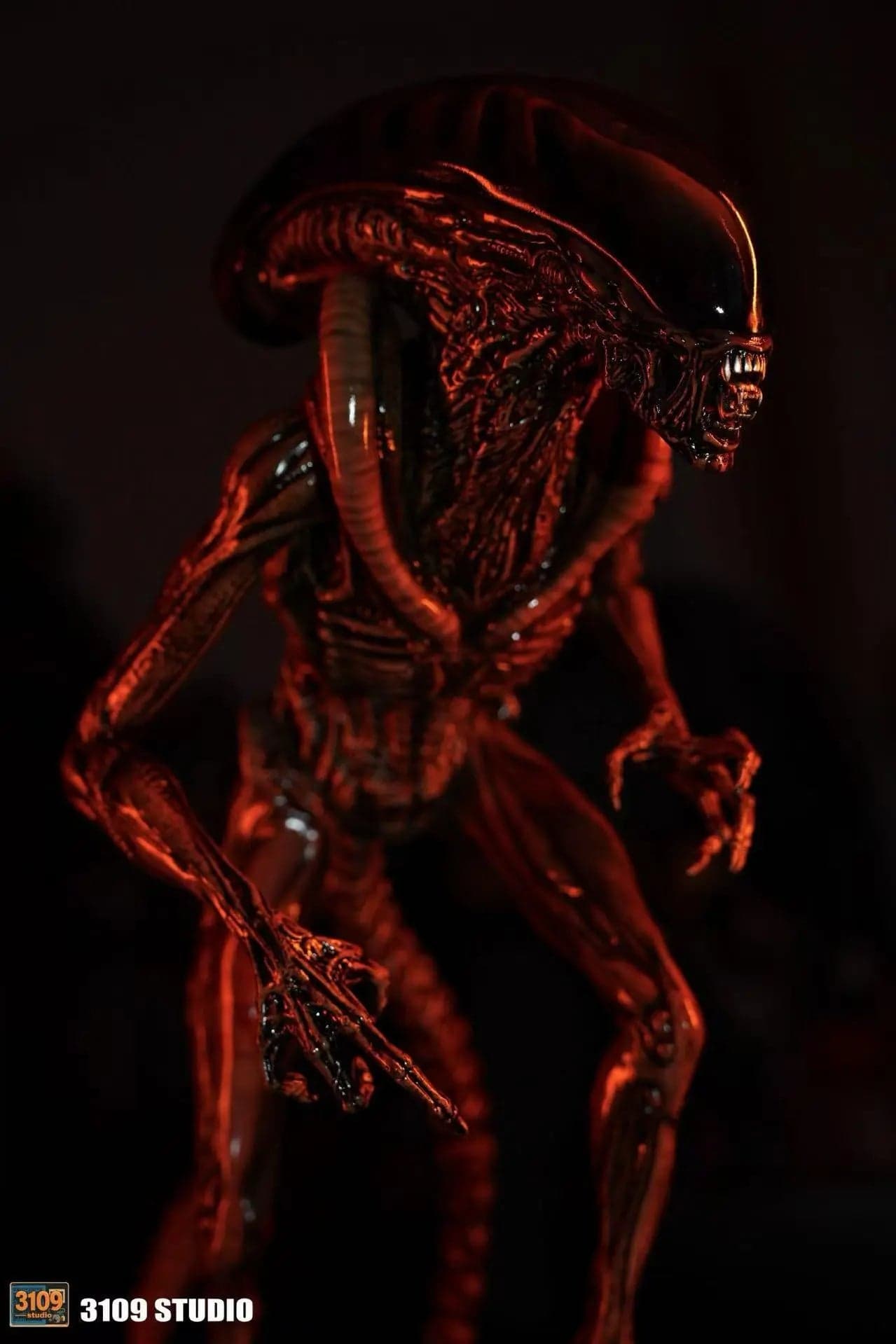 3109 - Dog Alien - Thumbnail 10