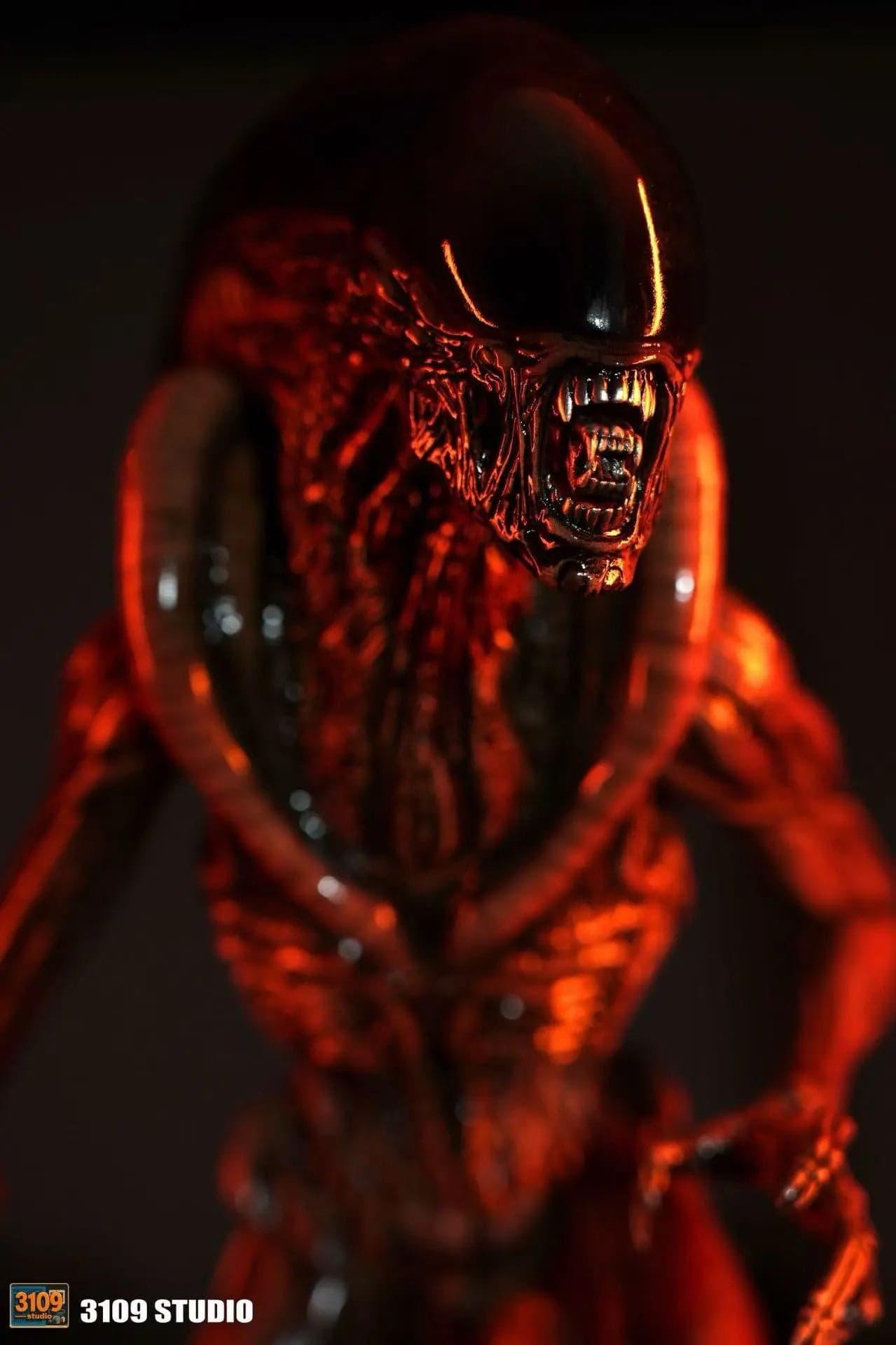 3109 - Dog Alien - Thumbnail 13