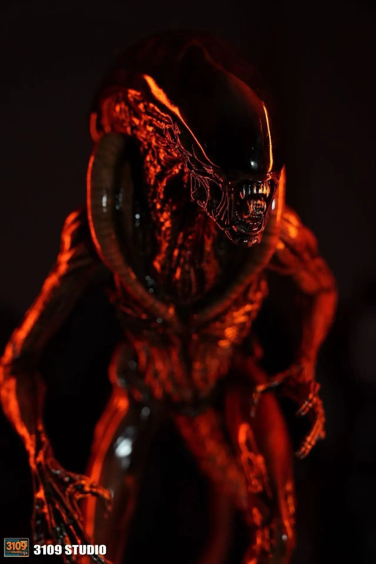3109 - Dog Alien - Thumbnail 7