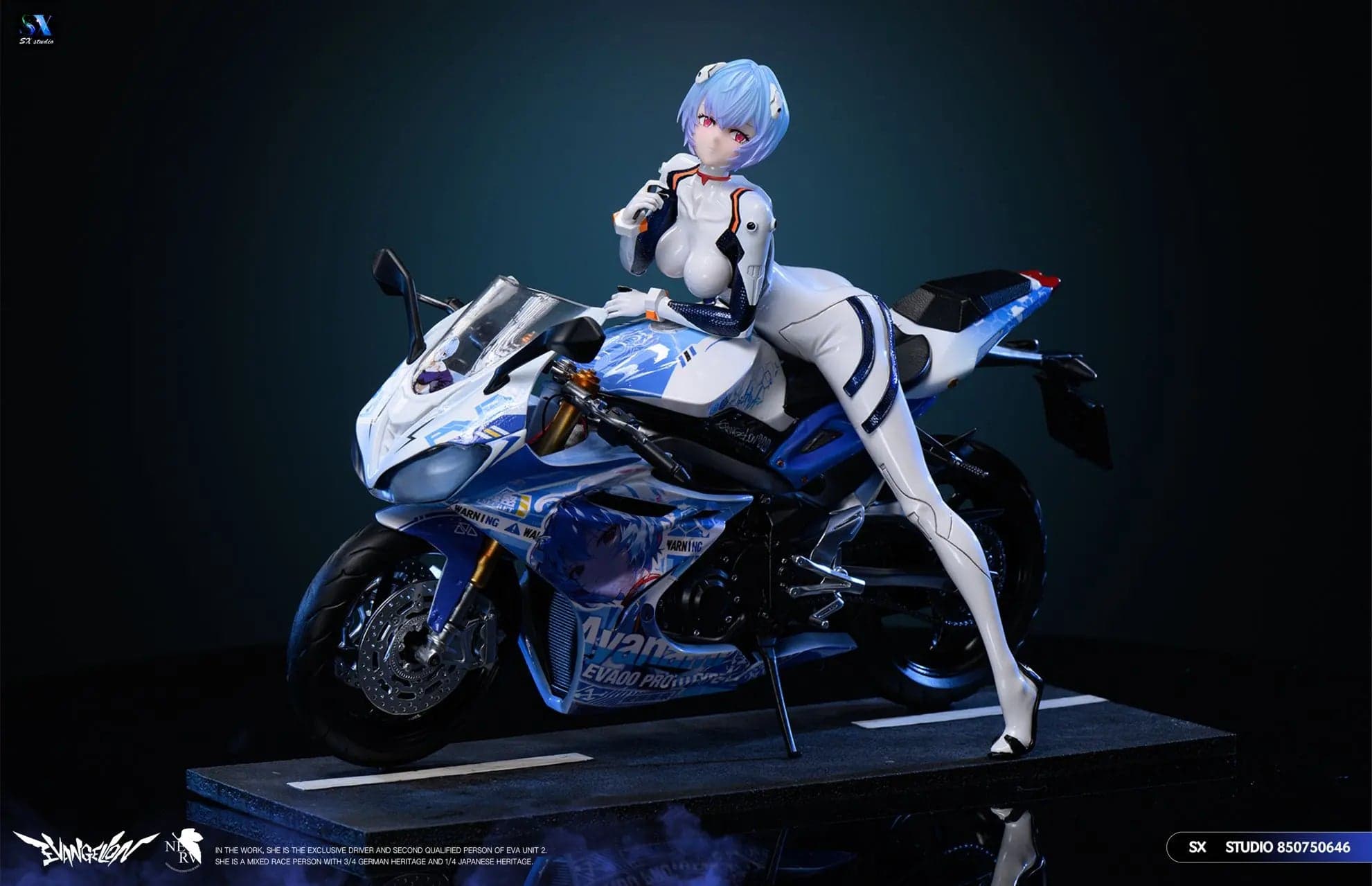 SX - Rei