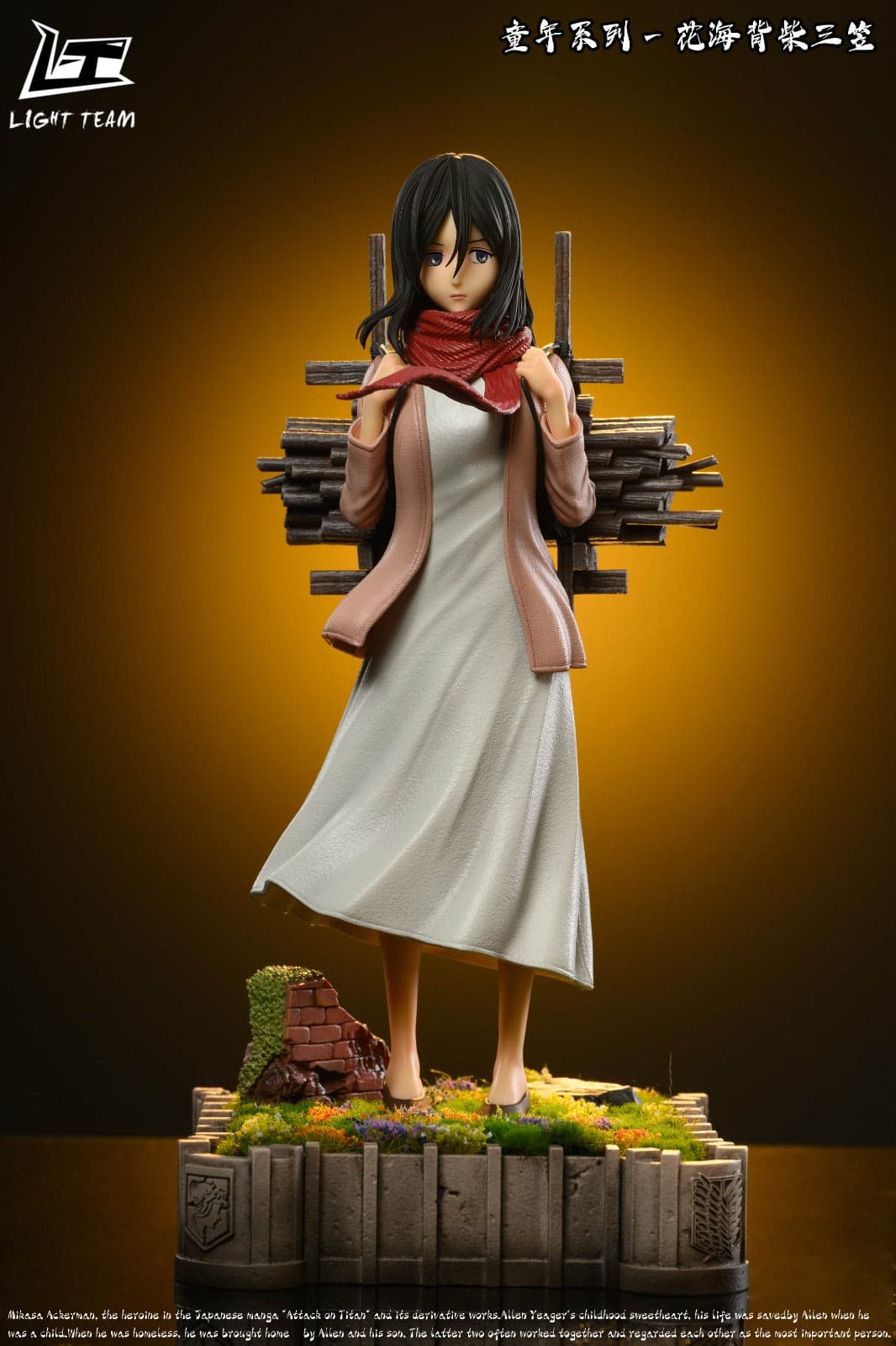 Light Team - Mikasa - Image 1