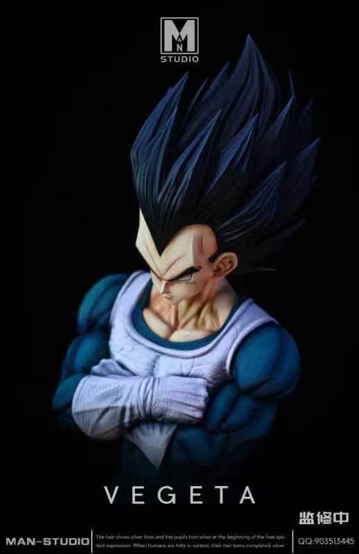 MAN - Vegeta - Thumbnail 3