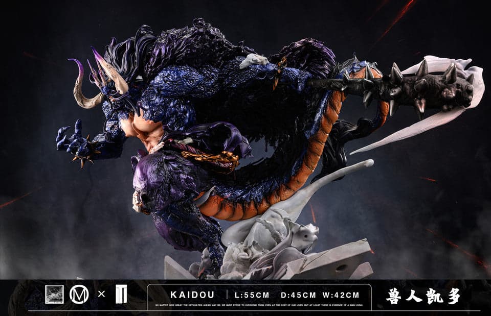TM - Kaido - Thumbnail 4