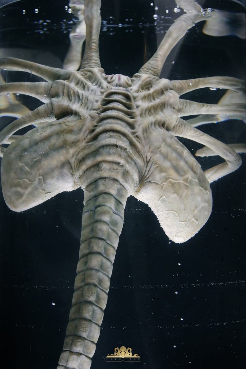 Deep Tale - Facehugger Stasis Chamber - Thumbnail 2