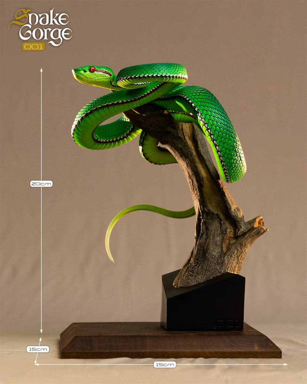 Snake Gorge - Trimeresurus gumprechti - Thumbnail 3
