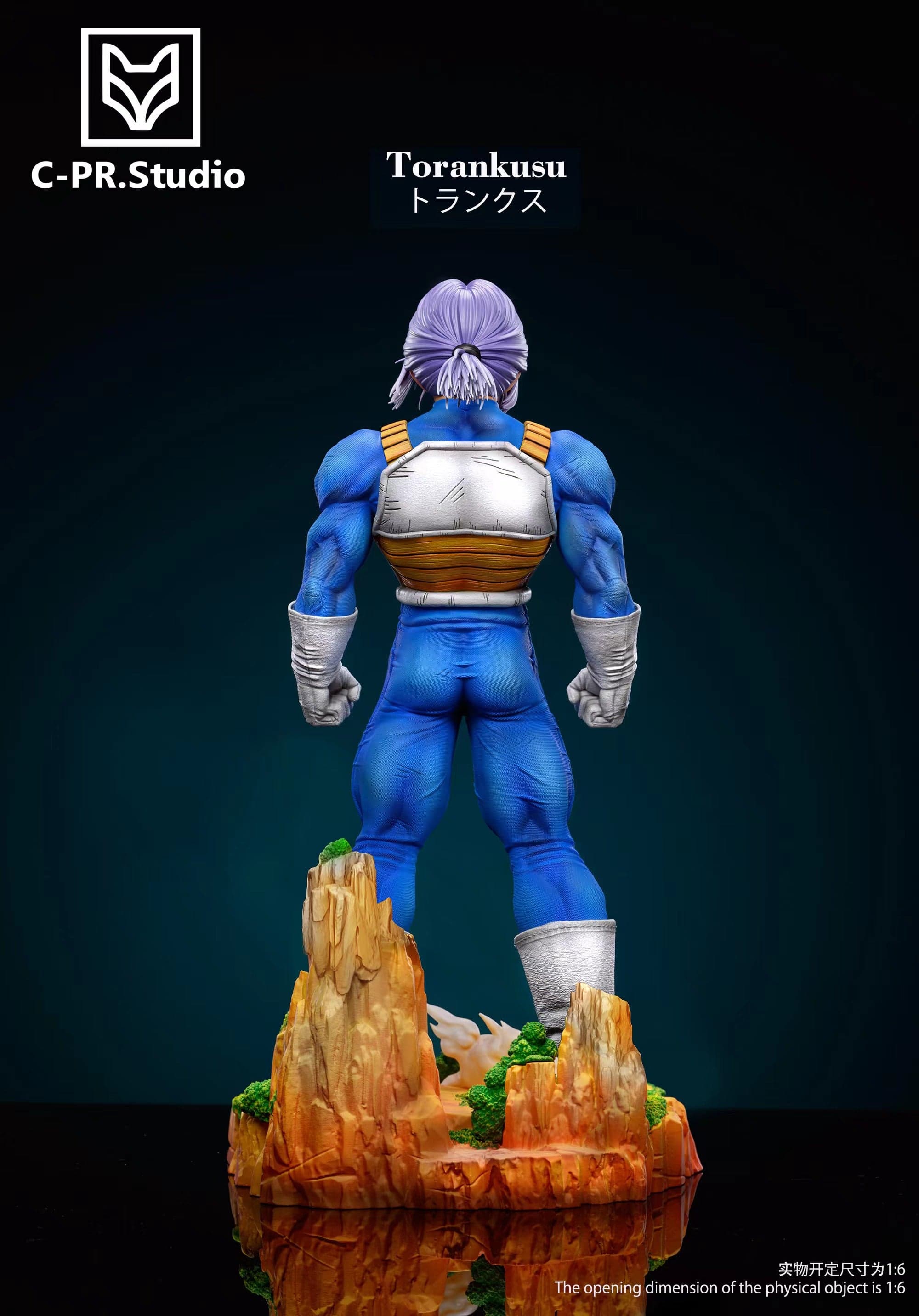 CPR - Trunks - Thumbnail 7