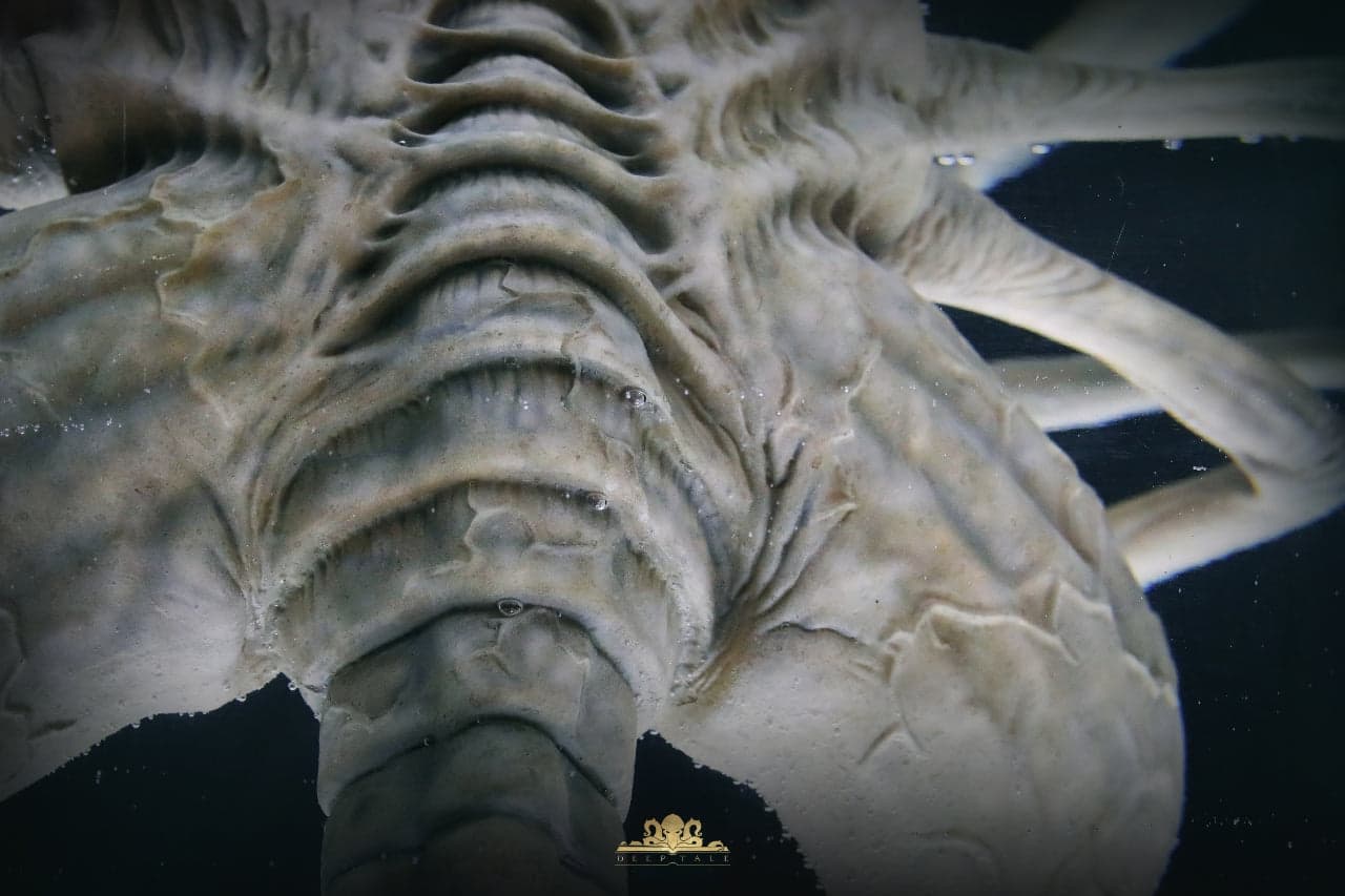 Deep Tale - Facehugger Stasis Chamber - Thumbnail 4