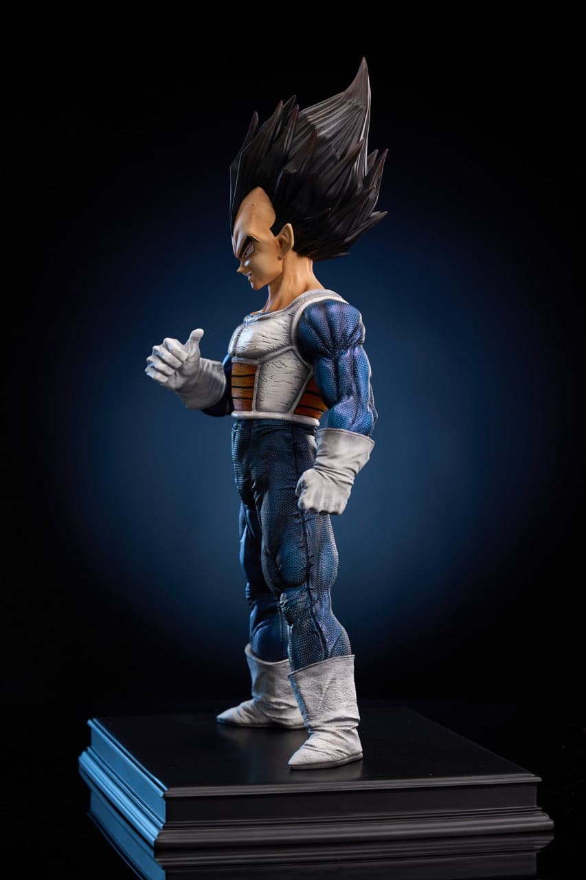 To Youth - Vegeta - Thumbnail 3