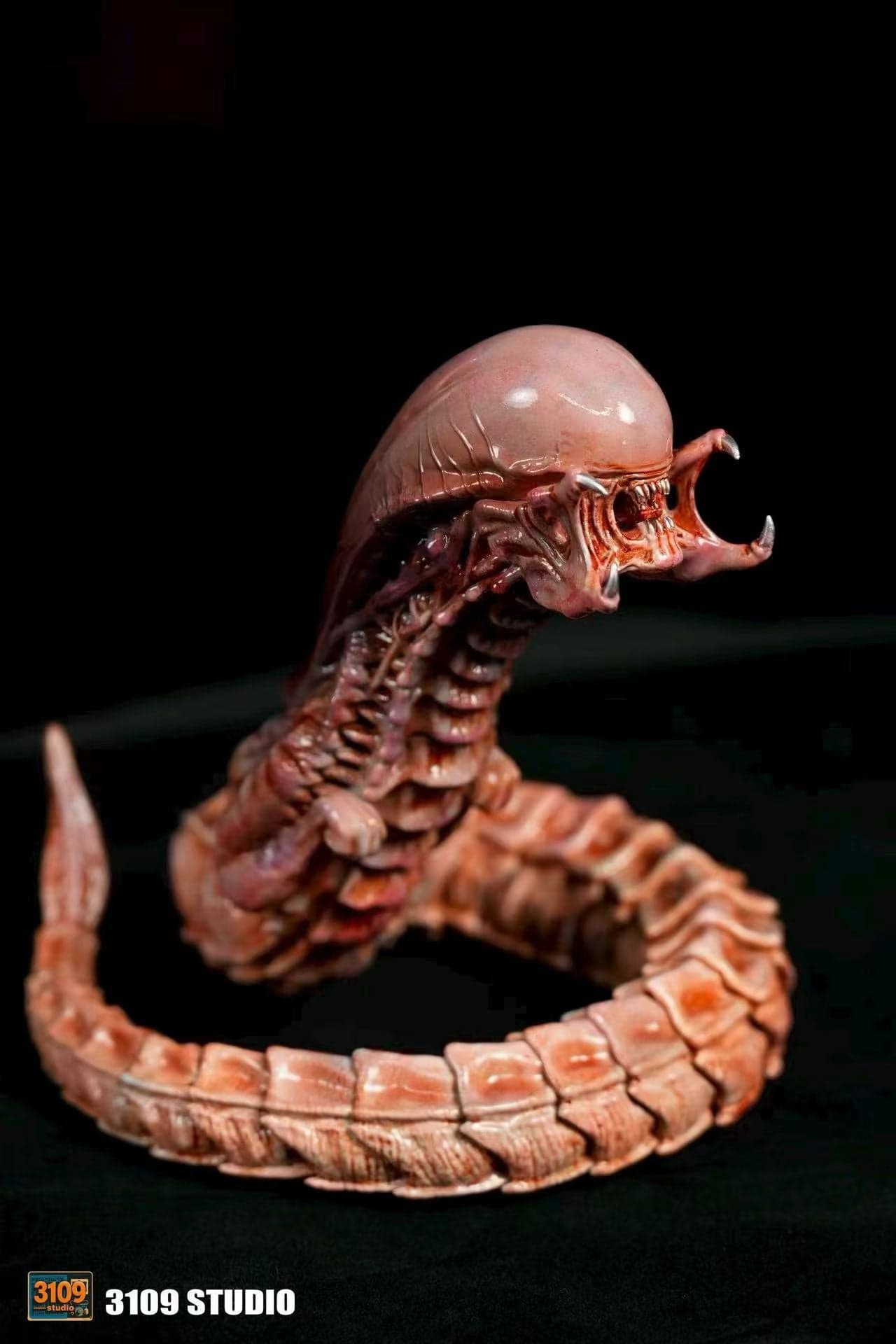 3109 - Chestburster Alien - Thumbnail 6