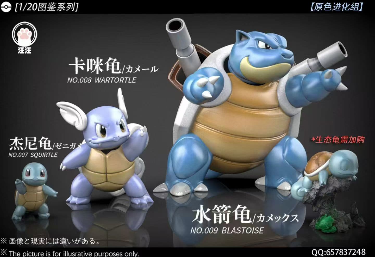 Wang Wang - Blastoise - Thumbnail 4