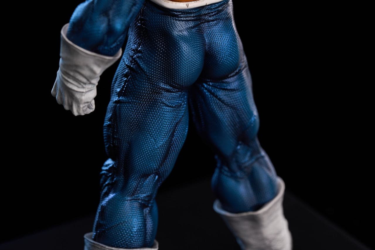 To Youth - Vegeta - Thumbnail 9
