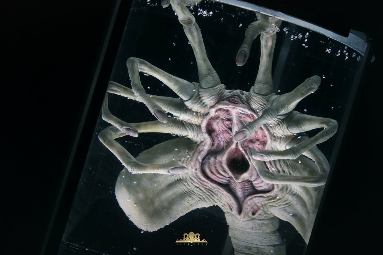 Deep Tale - Facehugger Stasis Chamber - Thumbnail 6