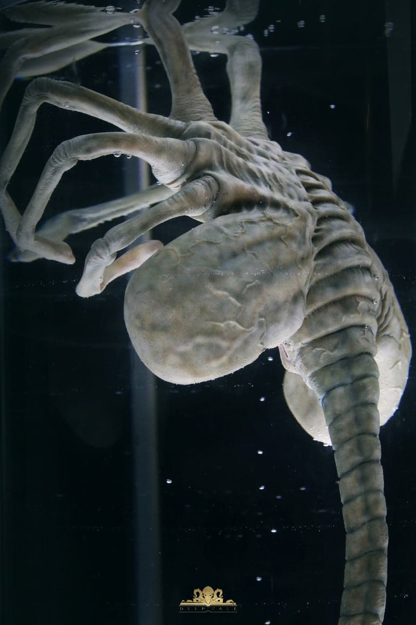 Deep Tale - Facehugger Stasis Chamber - Thumbnail 9