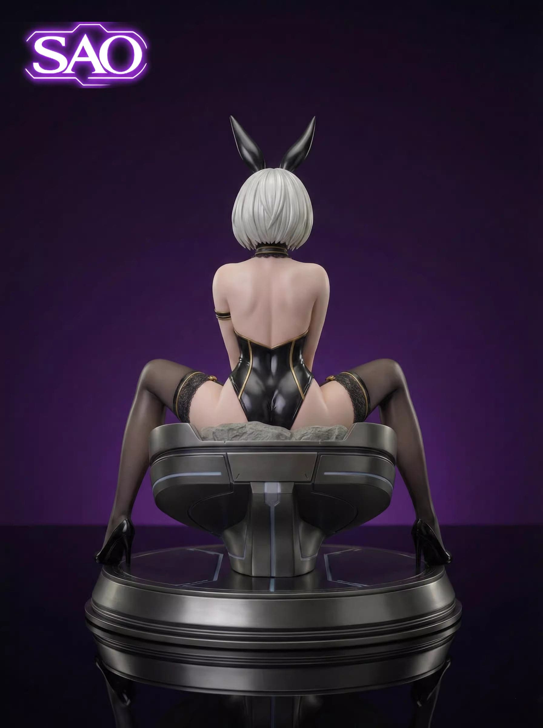 SAO - 2B - Thumbnail 3