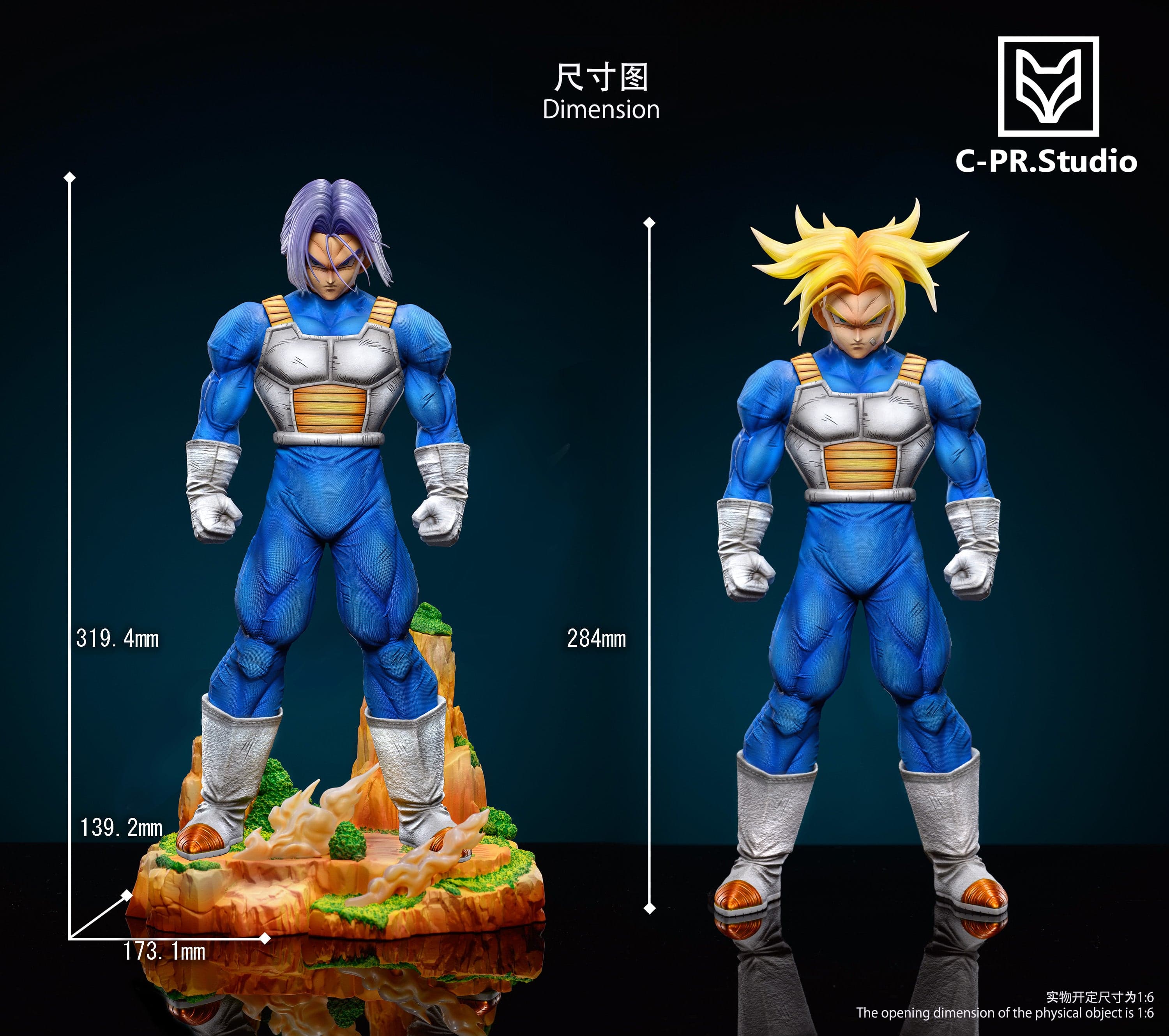 CPR - Trunks - Thumbnail 8