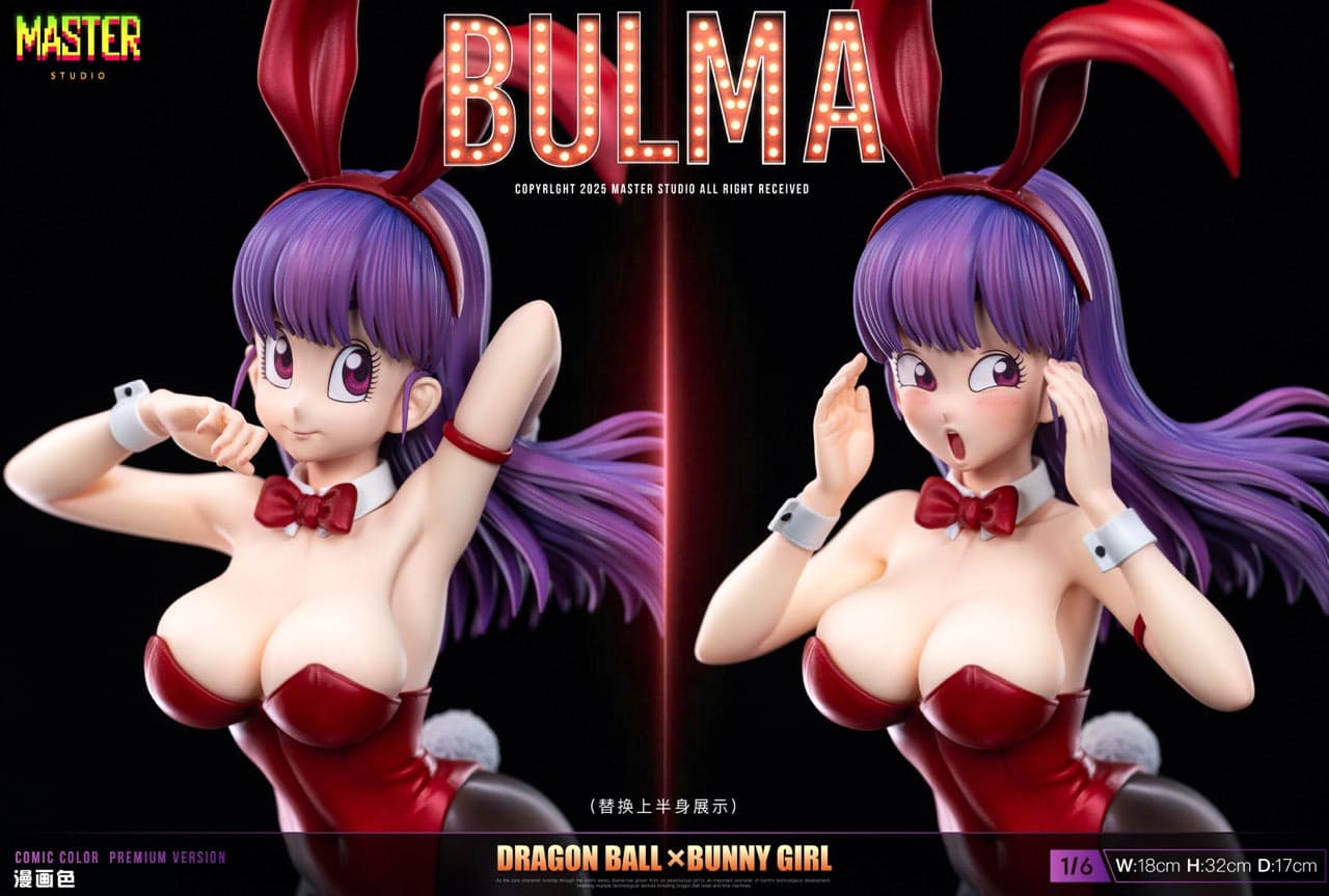 Master - Bulma - Thumbnail 10