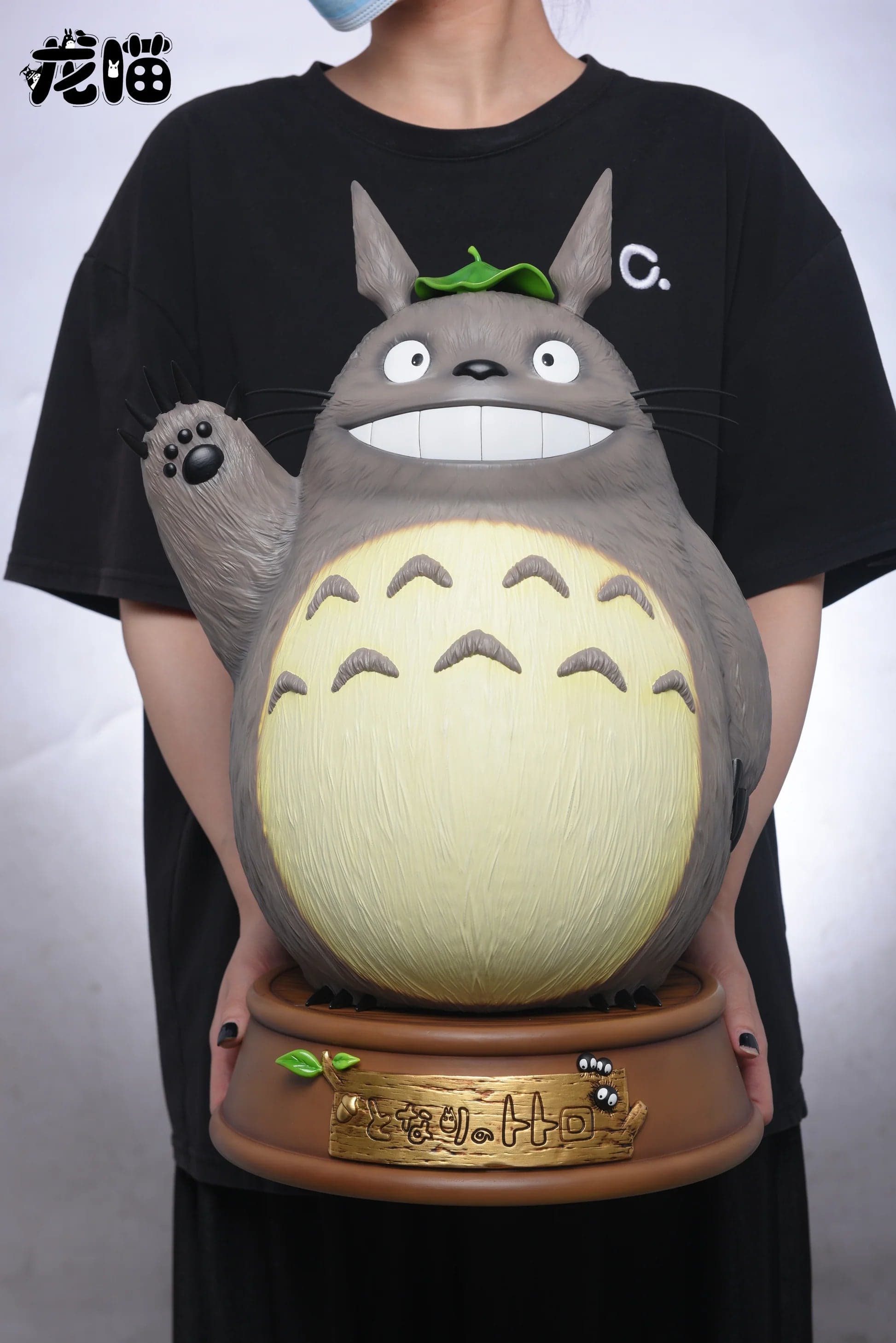 Long Miao - Totoro - Thumbnail 9