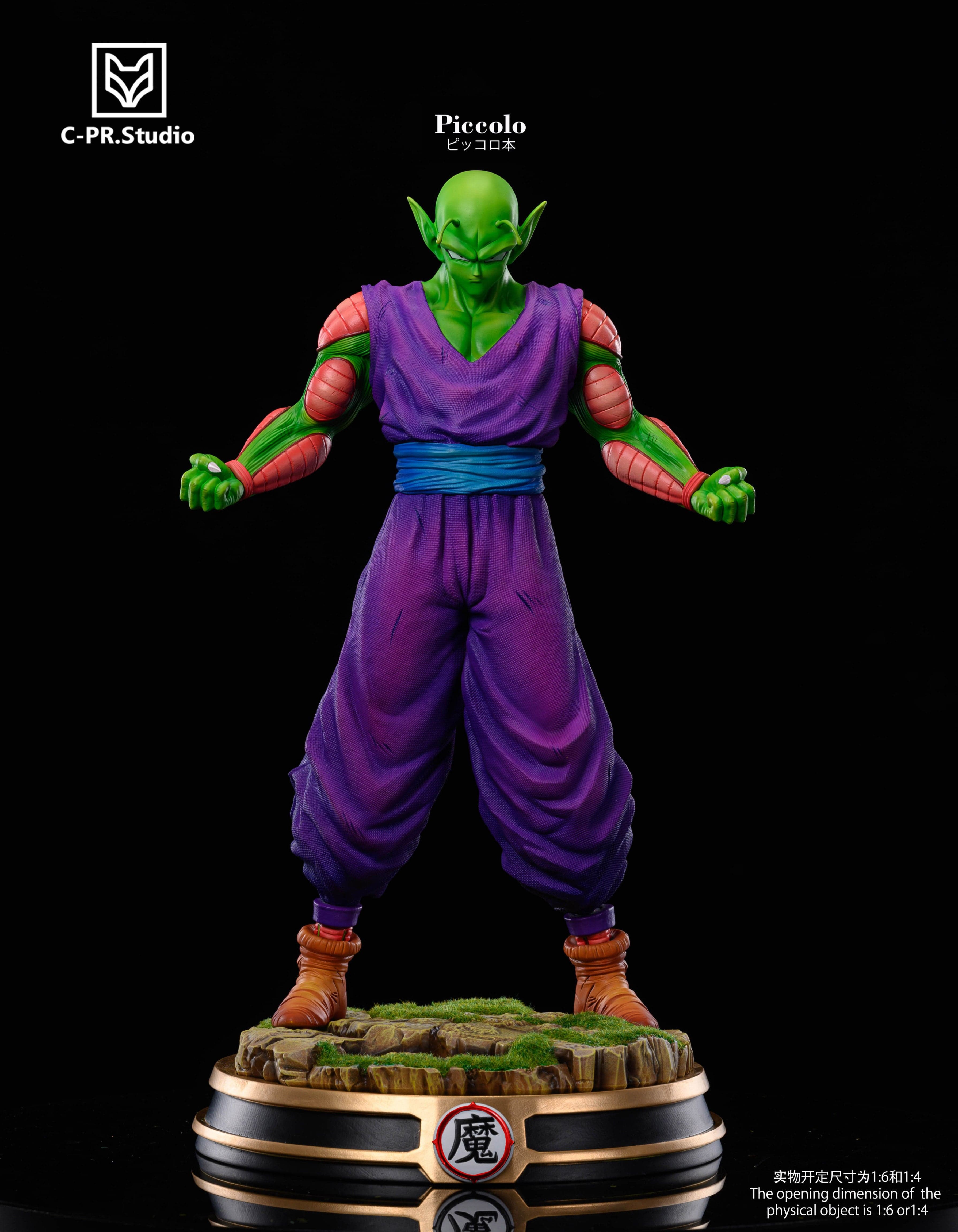 CPR - Piccolo - Thumbnail 5