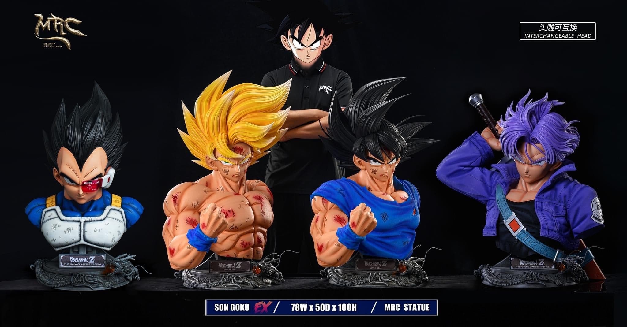MRC - Goku - Thumbnail 12