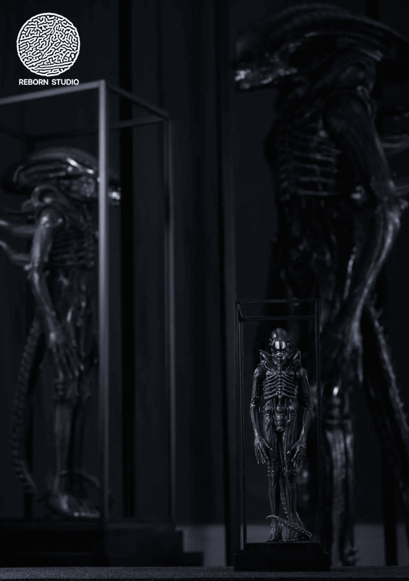 Reborn - Big Chap Alien - Thumbnail 8
