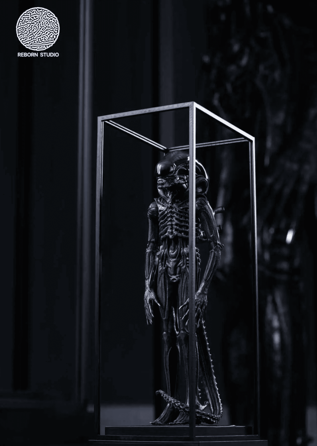 Reborn - Big Chap Alien - Thumbnail 10
