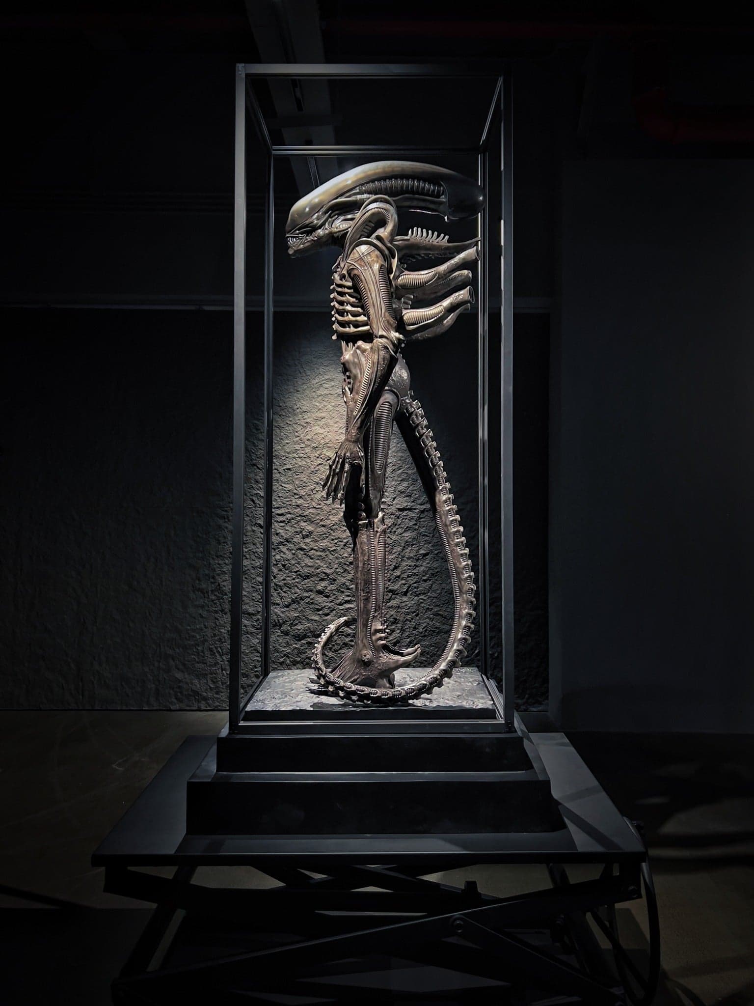 Reborn - Big Chap Alien - Thumbnail 3