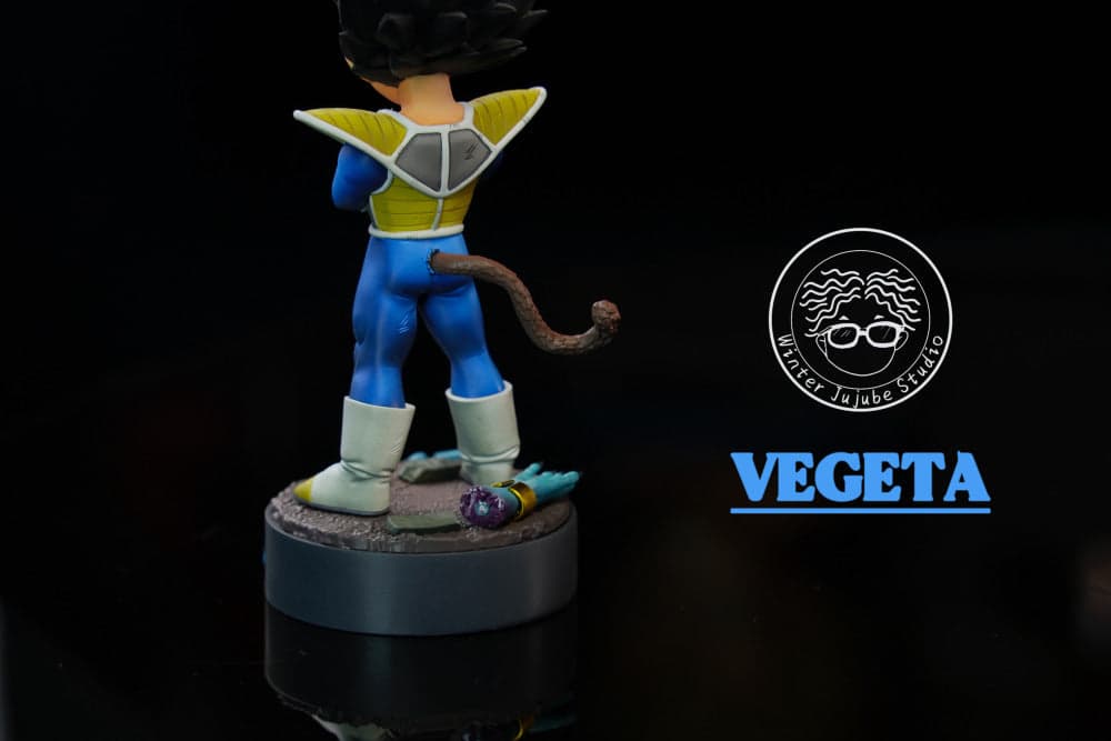 Dong Zao - Kid Vegeta - Thumbnail 4