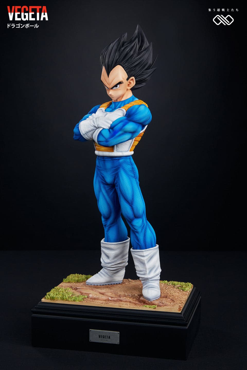 Infinite - Vegeta - Thumbnail 5