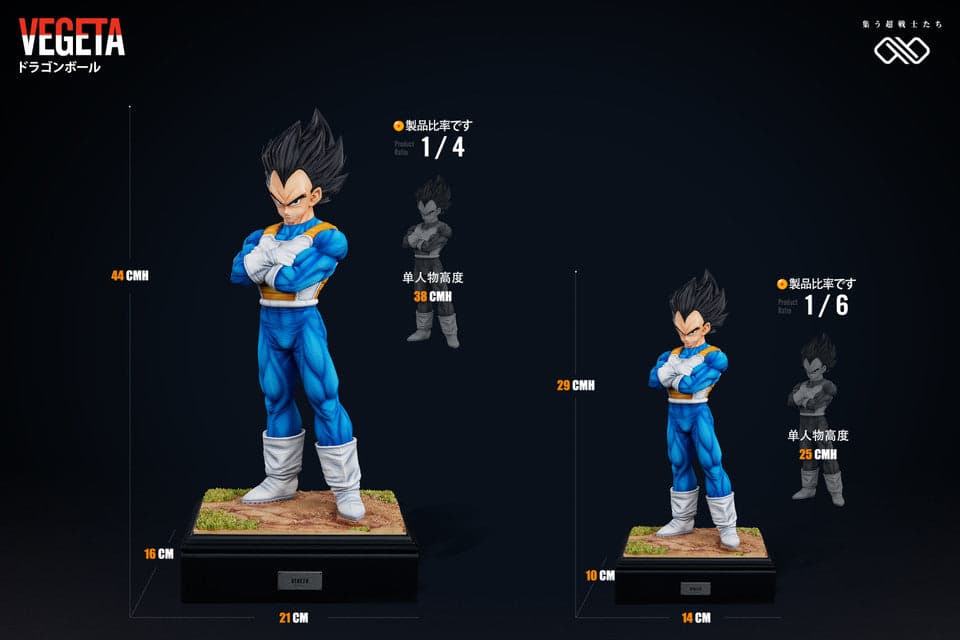 Infinite - Vegeta - Thumbnail 13