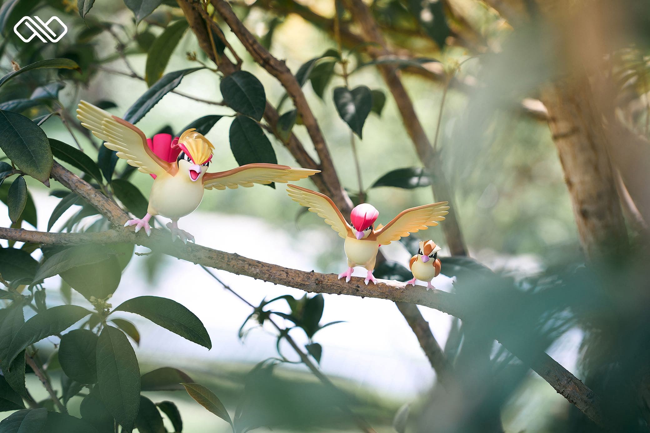 Infinite - Pidgeot - Thumbnail 9